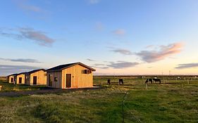 Sleeping With The Horses