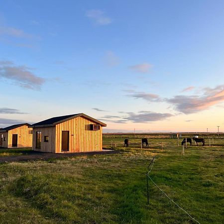 Appartamento Sleeping With The Horses Hvolsvöllur Esterno foto