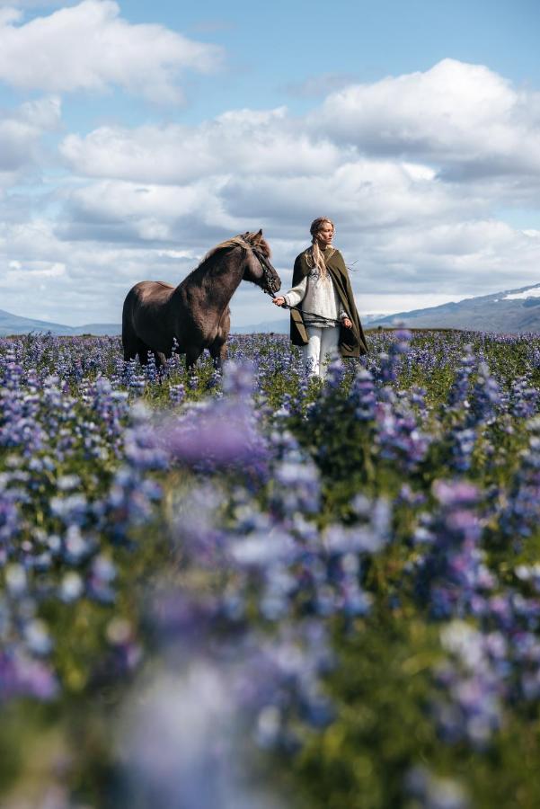 Appartamento Sleeping With The Horses Hvolsvöllur Esterno foto
