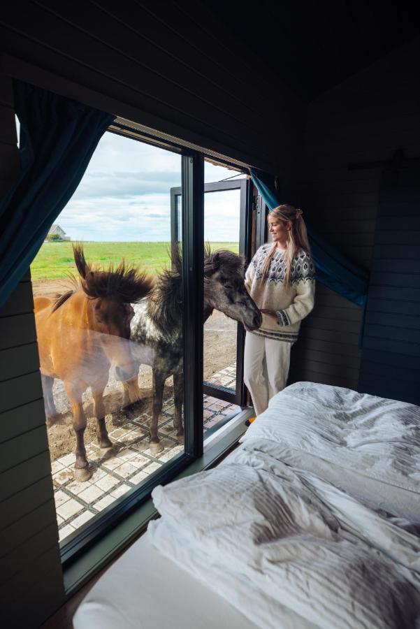 Appartamento Sleeping With The Horses Hvolsvöllur Esterno foto