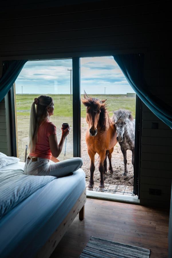 Appartamento Sleeping With The Horses Hvolsvöllur Esterno foto