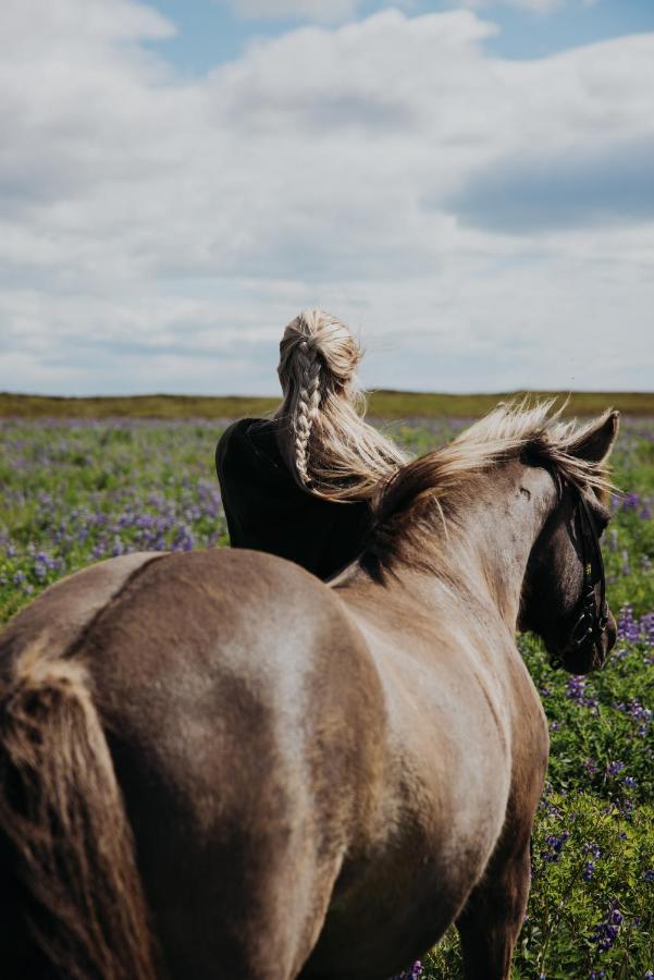 Appartamento Sleeping With The Horses Hvolsvöllur Esterno foto