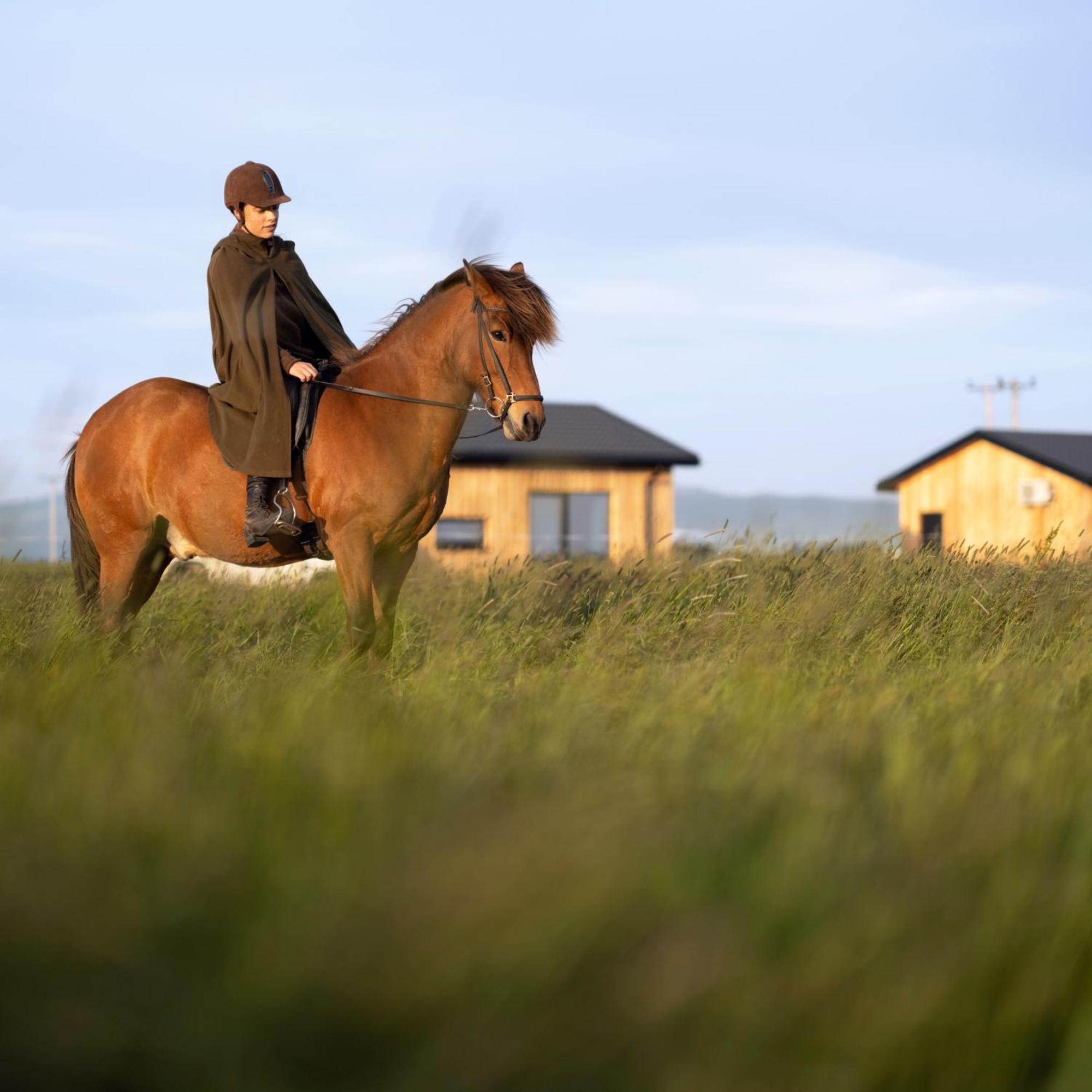 Appartamento Sleeping With The Horses Hvolsvöllur Esterno foto